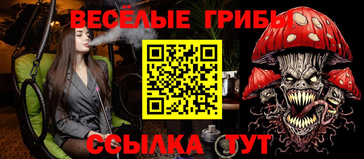 Менделеевск  Псилоцибиновые грибы Psilocybe  Галлюциногенные грибы мицелий  Вход с VPN 